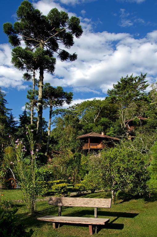 Pousada Das Araucarias Висконди-ди-Мауа Номер фото